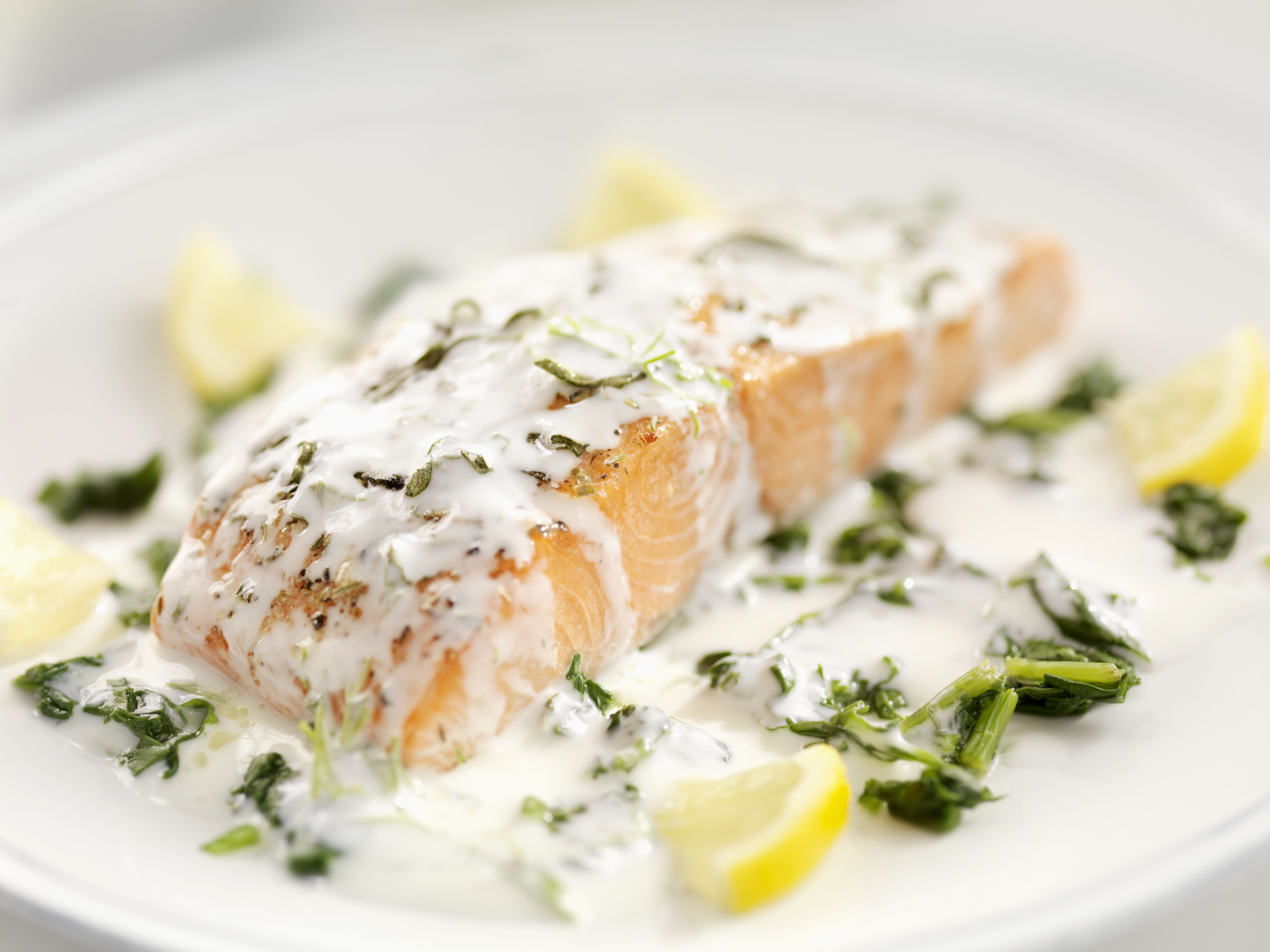grilled salmon