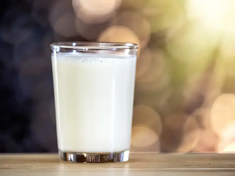lassi
