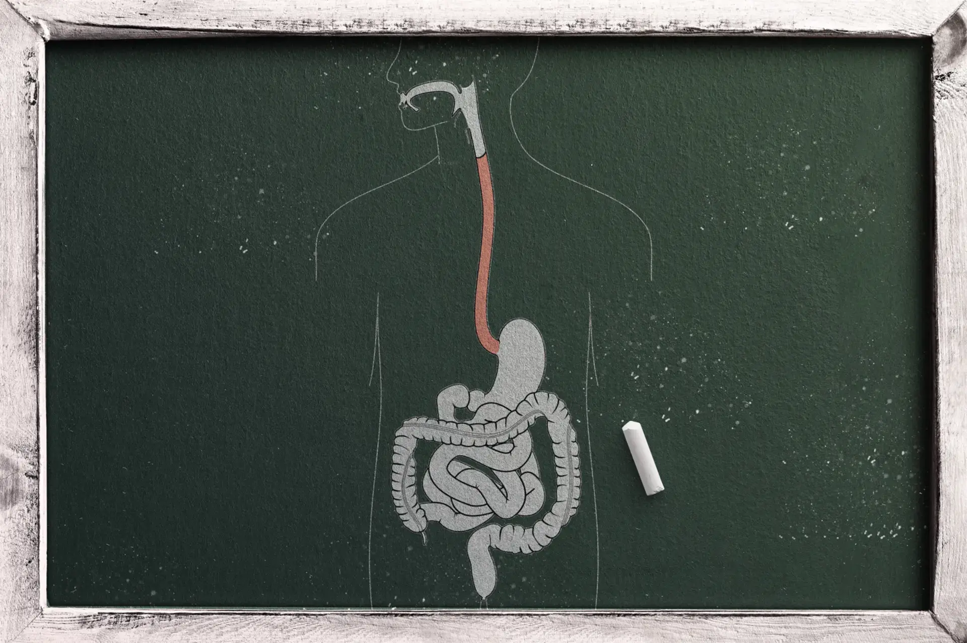 Mind Your Gut
