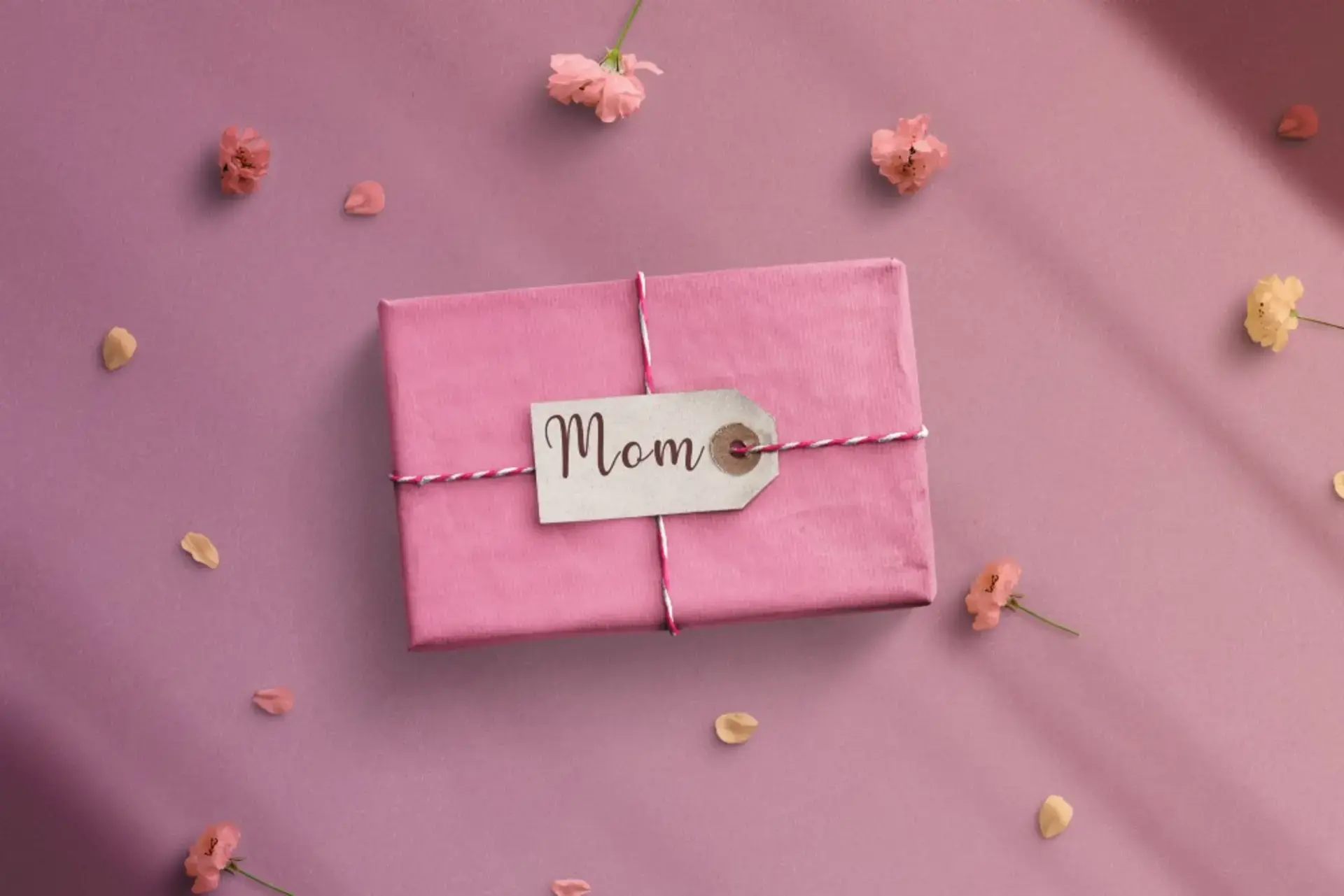 Celebrating Momma Month
