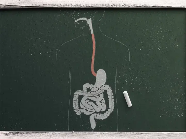 Mind Your Gut