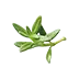 image of Fresh thyme
