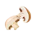 image of Mushrooms