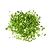 image of Chives