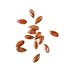 image of Seeds, flaxseed